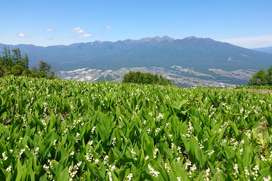 Fujimi Panorama Resort BGH