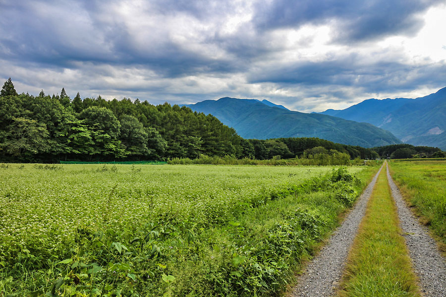 Rural landscape