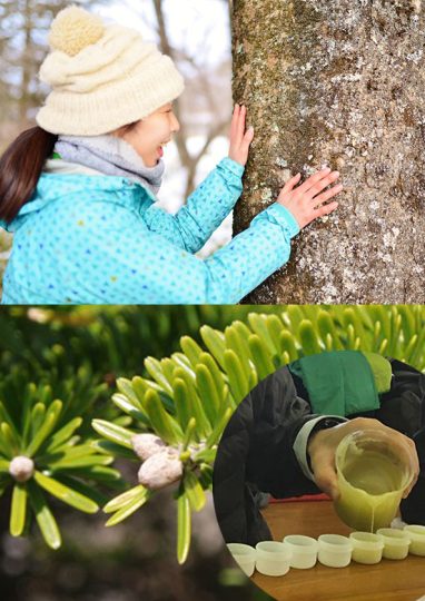 森deリトリート ～モミのハンドクリームづくり～